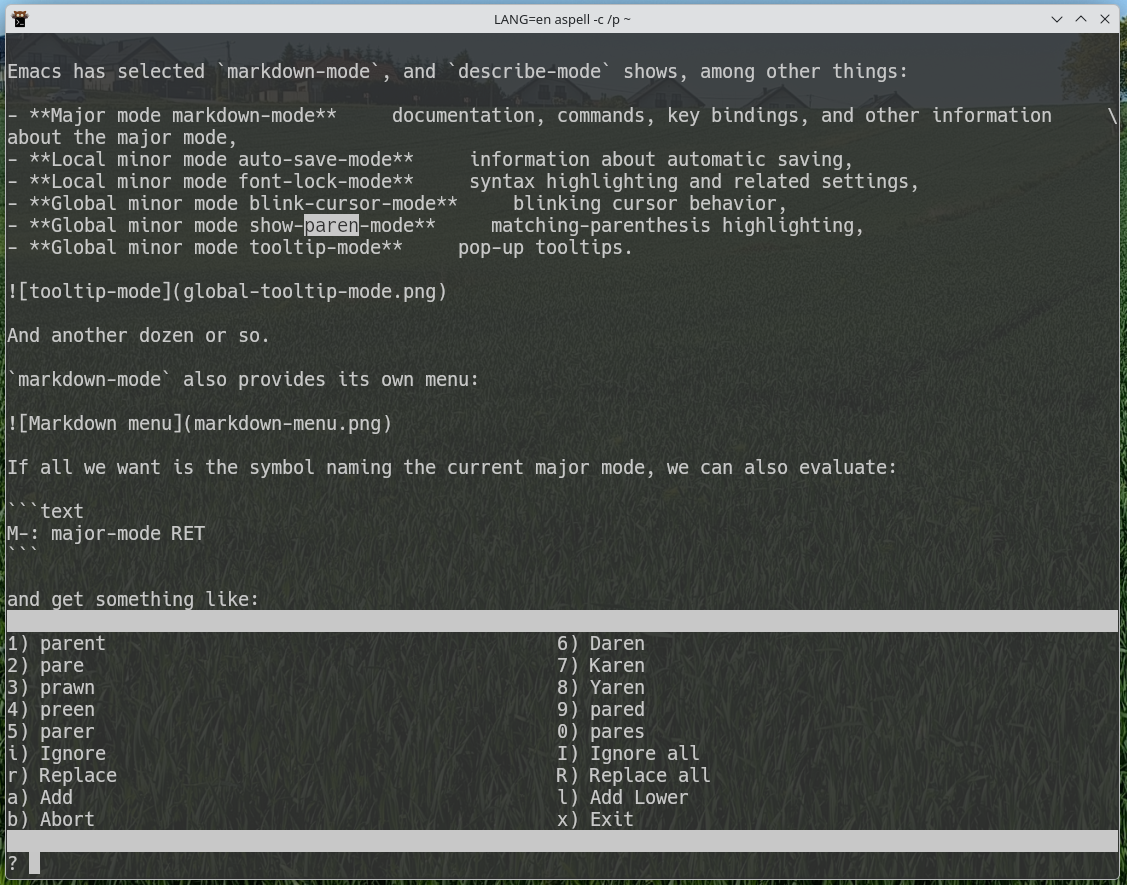 aspell UI